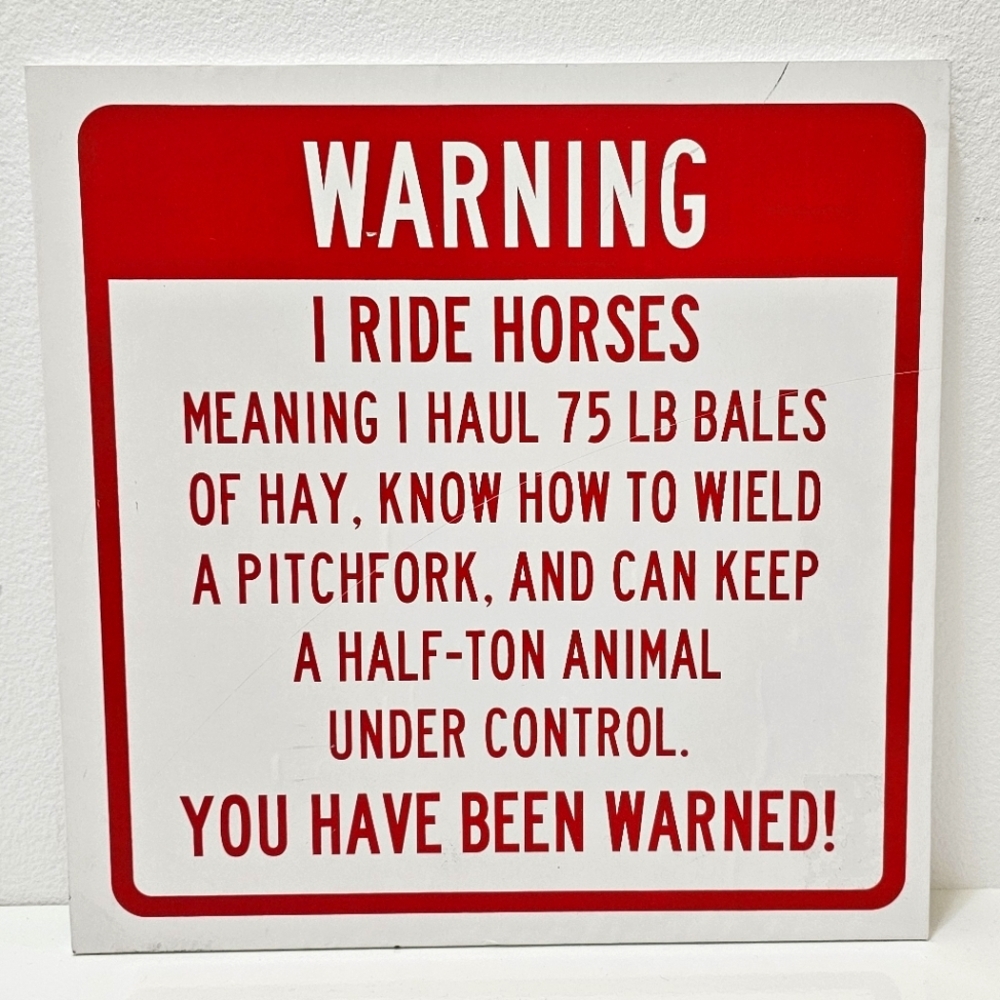 Tree-Free Greetings Funny Warning I Ride Horses Sign Plaque